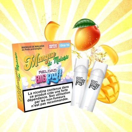 Recharge X2 Big Puff Mangue Bte 10