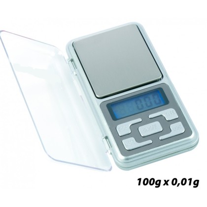 Balance de précision Spi