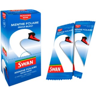 Carte menthe polaire SWAN Bte 25