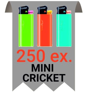 250 Briquets pierre mini 