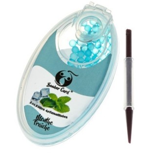 Bomber car menthe fraiche bleue Bte de 10